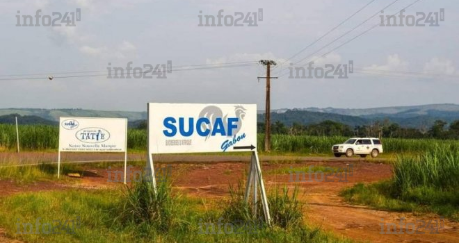Accusée de causer la pénurie de sucre au Gabon, la Setrag se défend et contre-attaque&nbsp;!