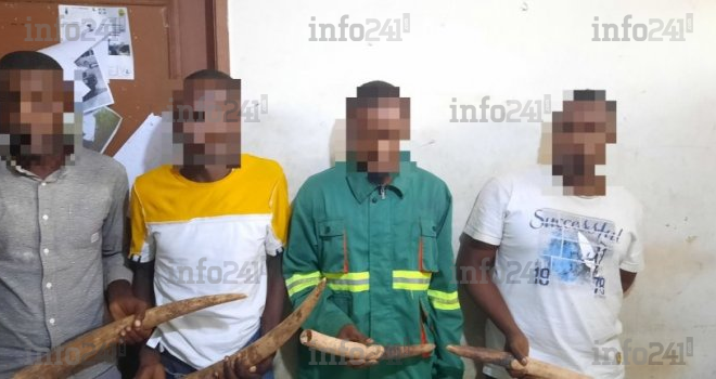 Libreville&nbsp;: 4 gabonais pris dans les mailles de la police pour trafic d’ivoire