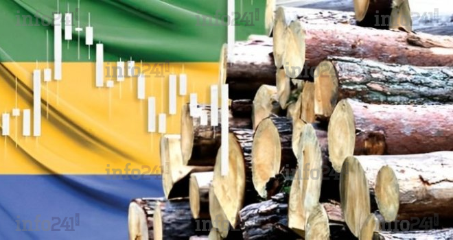 Economie gabonaise&nbsp;: la Banque mondiale dresse un état préoccupant en 2025 mais porteur d’espoir