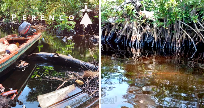 Le franco-britannique Perenco à l’origine de plusieurs actes de pollution au Gabon