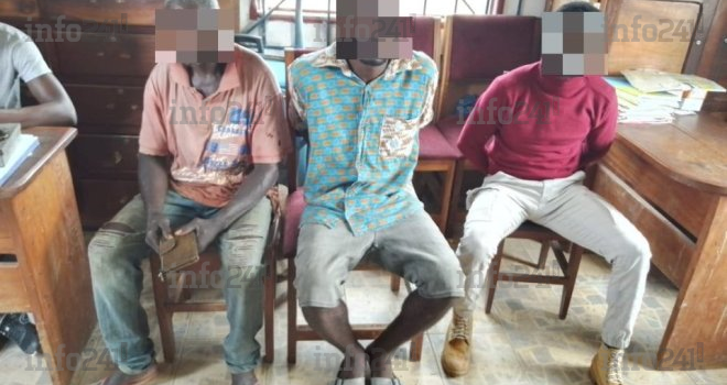 Trois trafiquants d’ivoire dans les mailles de la police judiciaire de Mouila