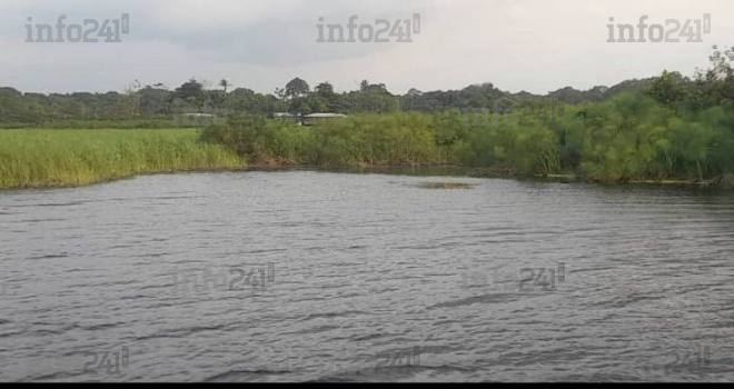 Bendjé&nbsp;: Le cri de détresse des habitants du Lac Anengué envahis de blocs de papyrus