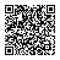 qrcode:http://info241.info/owendo-plongee-dans-le-noir-la-seeg-evoque-un-cable-defectueux,11177