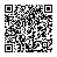 qrcode:http://info241.info/un-avion-des-forces-armees-gabonaises-bloque-sur-la-voie-express,639