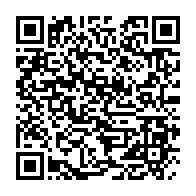 qrcode:http://info241.info/l-affligeant-silence-de-la-france-d-emmanuel-macron-sur-le-hold,3175