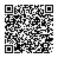 qrcode:http://info241.info/apres-avoir-froisse-une-militante-de-l-opposition-a-paris-mike,7807