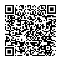 qrcode:http://info241.info/niger-des-milliers-de-manifestants-devant-l-ambassade-de-france,8087