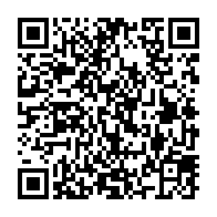 qrcode:http://info241.info/senegal-le-concert-panafricain-pour-la-limitation-des-mandats,7248