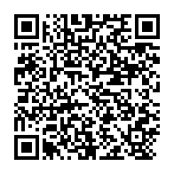 qrcode:http://info241.info/exil-dore-des-bongo-l-union-africaine-eternel-syndicat-des-chefs,10381
