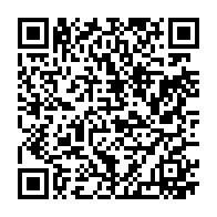 qrcode:http://info241.info/presidentielle-2025-la-candidature-d-iloko-boussengui-validee-au,10097