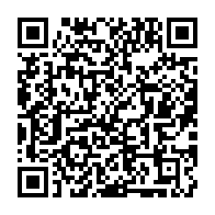qrcode:http://info241.info/kango-un-enfant-de-4-ans-tue-un-poteau-seeg-arrache-plusieurs,10387