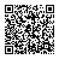 qrcode:http://info241.info/pantheres-de-gabon-thierry-mouyouma-et-didier-ndong-sonnent-la,10858