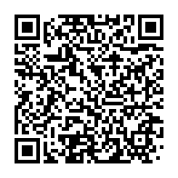 qrcode:http://info241.info/quand-le-sommet-russie-afrique-consacre-l-an-1-d-absence-d-ali,4711