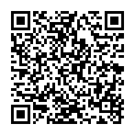 qrcode:http://info241.info/mahamadou-issoufou-accueilli-a-sa-descente-d-avion-par-julien,4809