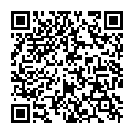qrcode:http://info241.info/colere-sur-le-pont-d-ebel-abanga-les-habitants-bloquent-la-route,10478