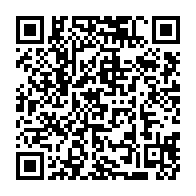qrcode:http://info241.info/rd-congo-sept-civils-tues-dans-une-incursion-de-miliciens-dans,5960