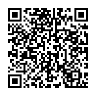 qrcode:http://info241.info/deux-perroquets-gris-du-gabon-saisis-par-la-police-francaise-a,3640