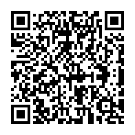 qrcode:https://info241.info/ali-bongo-en-greve-de-la-faim-tentative-desesperee-d-extirper-sa,9019