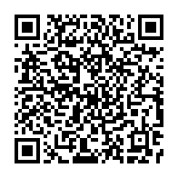 qrcode:https://info241.info/flash-player-faut-il-craindre-pour-la-securite-de-son-ordinateur,1133