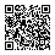 qrcode:https://info241.info/scission-a-l-un-la-cour-constitutionnelle-renvoie-la-patate,7217