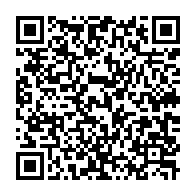 qrcode:https://info241.info/colere-sur-le-pont-d-ebel-abanga-les-habitants-bloquent-la-route,10478