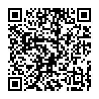 qrcode:https://info241.info/un-avion-des-forces-armees-gabonaises-bloque-sur-la-voie-express,639