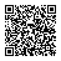 qrcode:https://info241.info/gabon-africa-united-airlines-vole-au-secours-d-un-bebe-chimpanze,10795