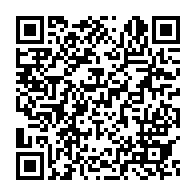 qrcode:https://info241.info/ali-bongo-remanie-en-douceur-le-gouvernement-issoze-ngondet-iii,3769