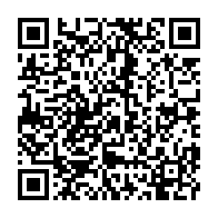 qrcode:https://info241.info/rose-ossouka-raponda-remplace-ali-bongo-a-une-reunion-virtuelle,6591