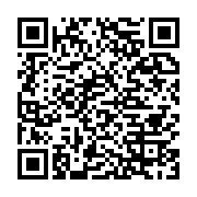 qrcode:https://info241.info/les-longs-crayons-de-la-diaspora-et-bongoharam-ali,762