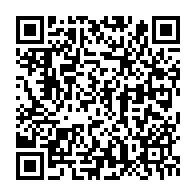 qrcode:https://info241.info/comment-les-machines-a-sous-ont-appris-a-vivre-dans-nos-poches-l,10804