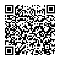 qrcode:https://info241.info/legislatives-et-locales-2025-au-gabon-les-candidats-appeles-a-se,10608