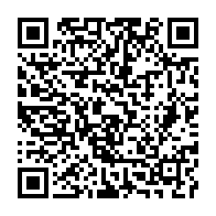 qrcode:https://info241.info/mort-suspecte-d-un-garconnet-a-schekina-seulement-2-a-3-mois-de,9742
