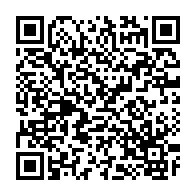qrcode:https://info241.info/legislatives-et-locales-2025-le-pdg-degaine-des-conditions,10471