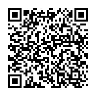 qrcode:https://info241.info/crise-au-pdg-blaise-louembe-tacle-a-la-gorge-ali-bongo-et-son,10666